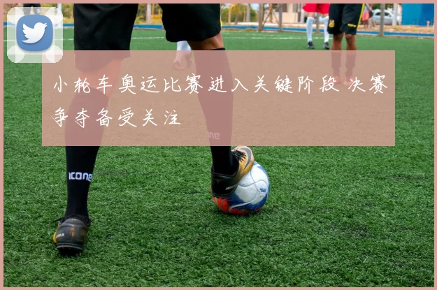 小轮车奥运比赛进入关键阶段 决赛争夺备受关注