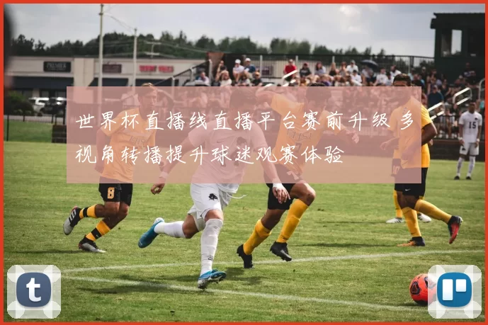 世界杯直播线直播平台赛前升级 多视角转播提升球迷观赛体验